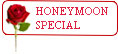 Honeymoon holiday package