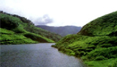 hotels in Kodaikanal