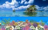 Pattaya (Coral Island & Nong Nooch village)