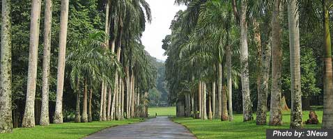 Sri Lanka Holiday Package@Kandy - Bentota - Colombo
