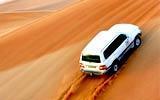 Desert Safari with Dinner (Optional Tour)