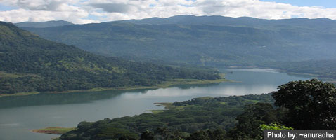 Hill Country Tour@Kandy - Nuwara Eliya - Colombo