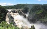 Kuranda Tour