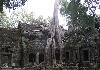 Angkor Wat