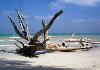 Family Gateway@Port Blair (Day Trip to Havelock & Baratang) 