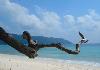 Leisure Tour@Port Blair - Baratang Island