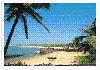Paradise Village  Calangute Beach in Goa