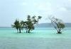 Family Gateway@Port Blair (Day Trip to Havelock / Neil Island) 