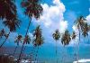 Ramada Caravela Goa Beach