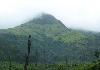 Vythiri Resort Chemdar Peak Wayanad