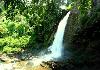 Planet Green Plantation Resort Wayanad