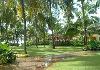 Taj Holiday Village Coconut trees in the lawn