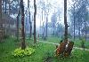 Thekkady