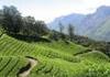 Best of Kovalam