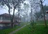 Best of Munnar - Thekkady Greenwoods Resort