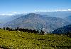 Best of Gangtok - Darjeeling Temi Tea Garden, an hour's drive from Orange Village Resort