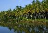 Estuary Island Resort Backwaters