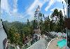 Forest Canopy Resort Forest Resort