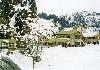 Solang Valley Resort