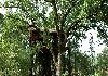 Tree House Hideaway Exterior View