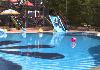 Shraddha Inn swimming_pool