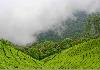 Honeymoon Kerala Package @ Munnar - Thekkady - Alleppy - Kovalam The Tea Valley at Tea Valley Resort Munnar