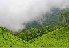 The Tea Valley at Tea Valley Resort Munnar