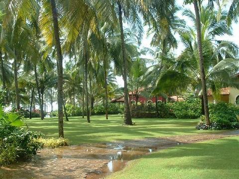 Goa Hotel Goa Resort Holiday Packages 2 Nights 3 Days Superior